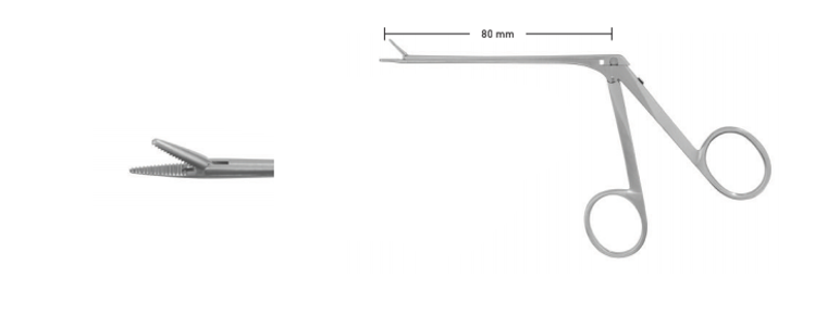 EAR FORCEPS BY DUCKBILL, WL 8CM,FLAT JAWS, SERRATEDTIP 2.5 X 8MM