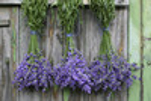 Sleep Easy Essential Oil 25ml Sleep Easy Essential Oil 25ml