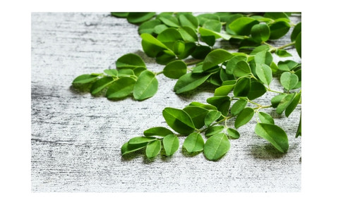 Moringa Powder - Pure - 200g Moringa Powder - Pure - 200g