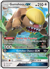 SM01-110/149SR Gumshoos GX (Holo)