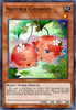 HAC1-EN116 Naturia Cherries (Duel Terminal Technology Ultra Rare) <1st>