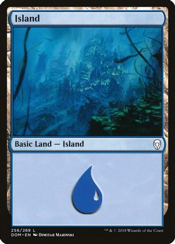 DOM-256L Island