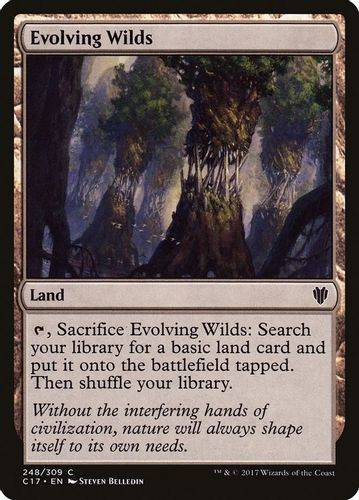 C17-248C Evolving Wilds