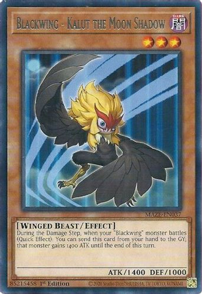 MAZE-EN037 Blackwing - Kalut the Moon Shadow (Rare) <1st>