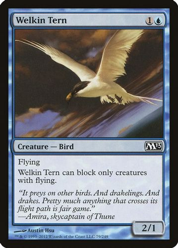 M13-079C Welkin Tern