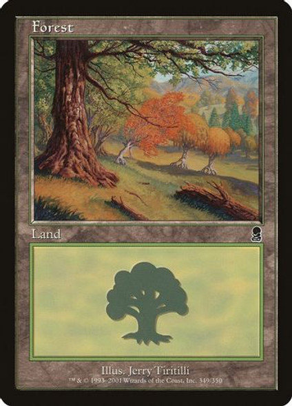 ODY-349L Forest