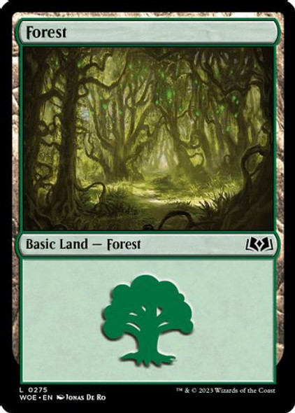 WOE-0275L Forest