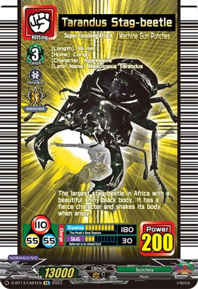 D-BT13/EX01EN EX Tarandus Stag-beetle