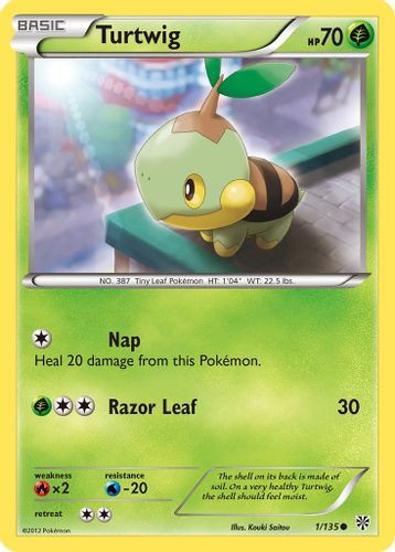 BW08-PLS-001/135C Turtwig