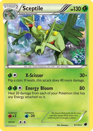 BW09-PLF-008/116HR Sceptile (Holo)