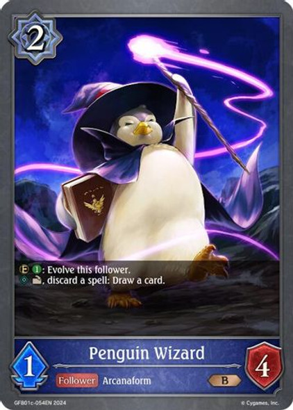 [GFB01c-054EN](B) Penguin Wizard