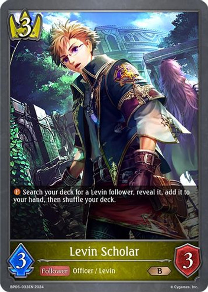 [BP06-033EN](B) Levin Scholar