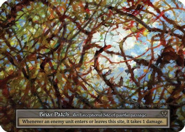 |SOR03|[ARL](Exceptional) Briar Patch {Foil}