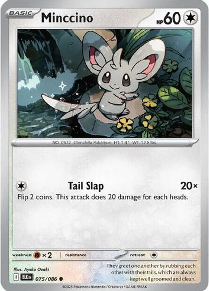 [SV10a][BLK-075/086](C) Minccino