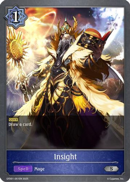 [GFD01-051EN](S) Insight