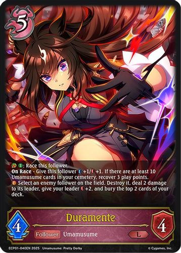 [ECP01-040EN](L) Duramente