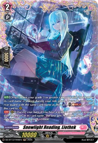 [DZ-BT13/FR46EN](FR) Snowlight Reading, Liothek (FR)