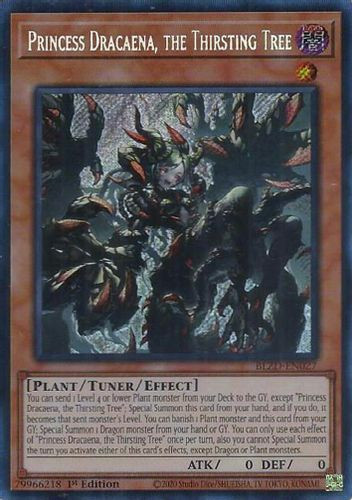 [BLZD-EN027] Princess Dracaena, the Thirsting Tree (Secret Rare)<1st>