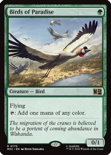 [MSC-0170](R) Birds of Paradise