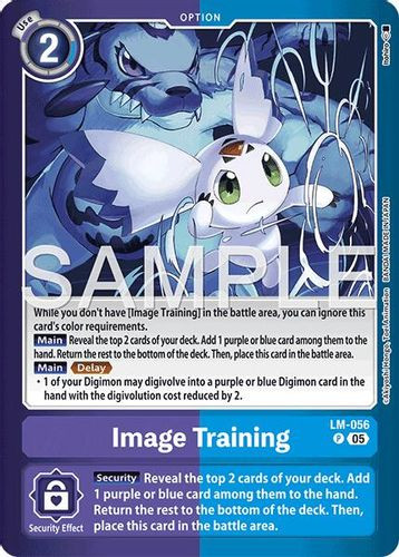 [LM-056](P) Image Training (Foil)