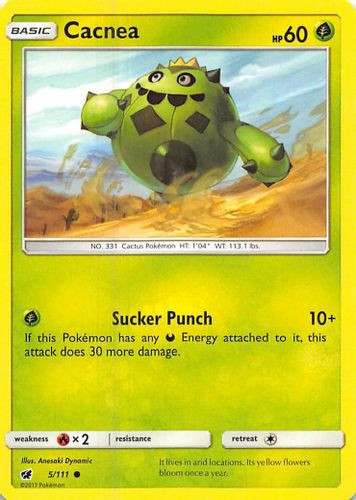 SM04-CIN-005/111C Cacnea