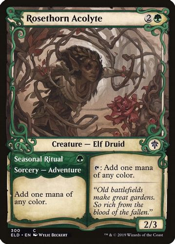ELD-300C Rosethorn Acolyte // Seasonal Ritual (Showcase) (Foil)