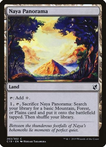 C19-263C Naya Panorama