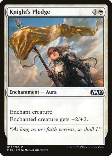 M19-019C Knight's Pledge