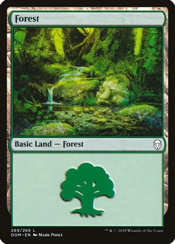 DOM-269L Forest