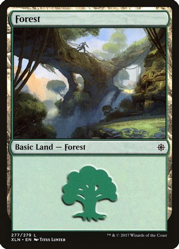 XLN-277L Forest