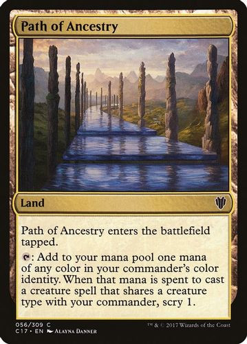 C17-056C Path of Ancestry