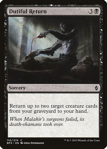 BFZ-110C Dutiful Return