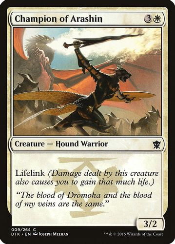 DTK-009C Champion of Arashin