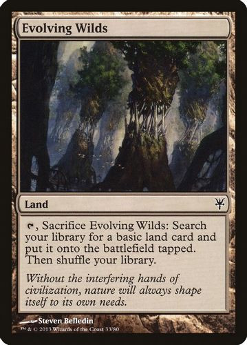 DDK-033C Evolving Wilds