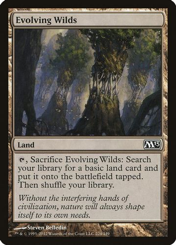 M13-224C Evolving Wilds (Foil)