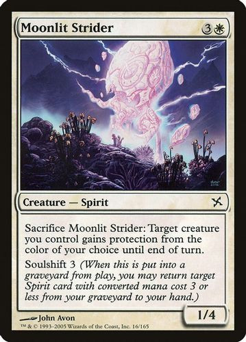 BOK-016C Moonlit Strider