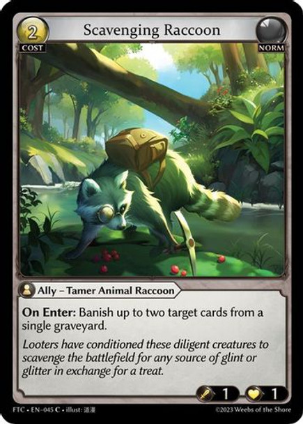 GA02-FTC1st-EN-045C Scavenging Raccoon