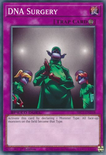 SBC1-END18 DNA Surgery (Common) <1st>