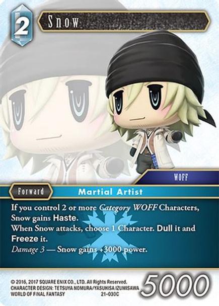 FF21-030C Snow (Foil)