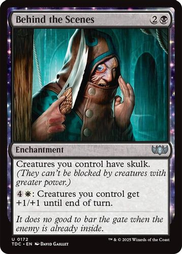 [TDC-0172](U) Behind the Scenes