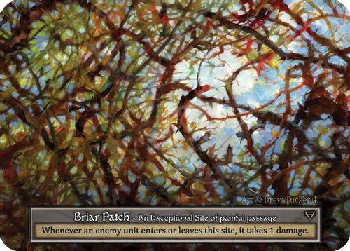 |SOR03|[ARL](Exceptional) Briar Patch {Foil}