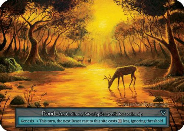 |SOR03|[ARL](Ordinary) Pond