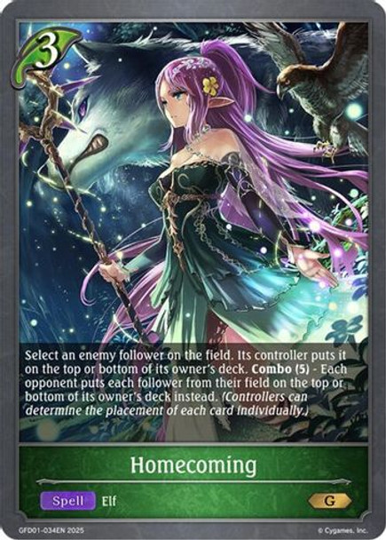 [GFD01-034EN](G) Homecoming