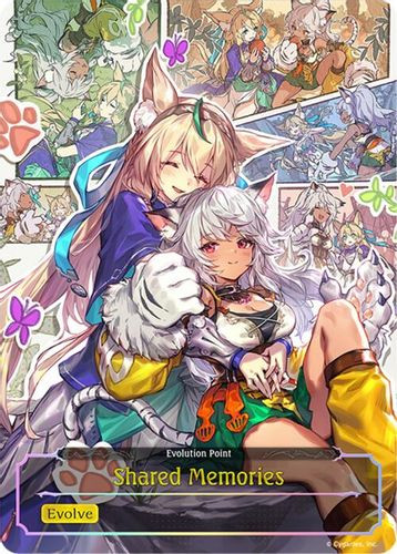 [BP12-EP01EN](EP) Shared Memories (Evolution Point)