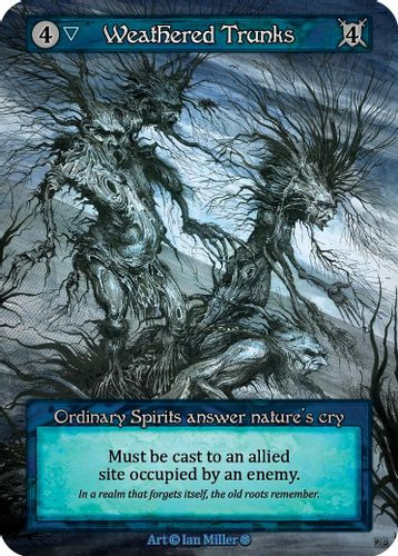 |SOR05|[GOT](Ordinary) Weathered Trunks