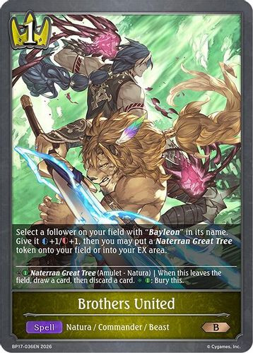 [BP17-036EN](B) Brothers United