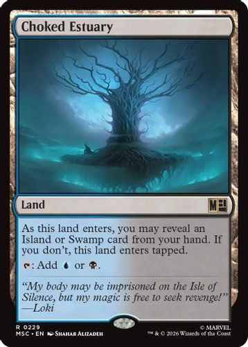 [MSC-0229](R) Choked Estuary