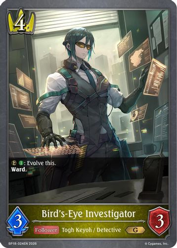 [BP18-024EN](G) Bird's-Eye Investigator