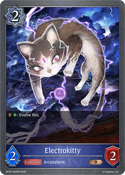 [BP19-050EN](B) Electrokitty