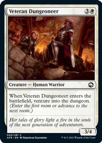 AFR-040C Veteran Dungeoneer (Foil)